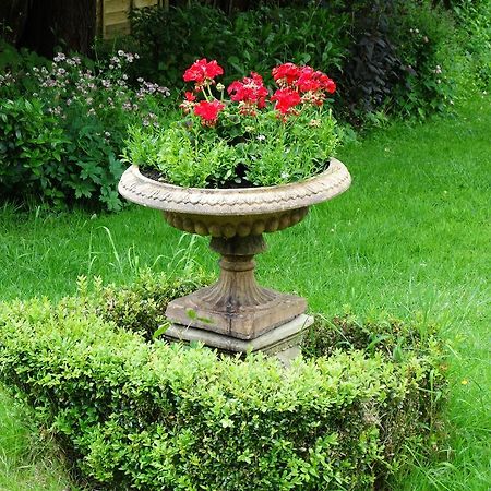 Three Ivy Cross Bed & Breakfast Shaftesbury Exterior foto