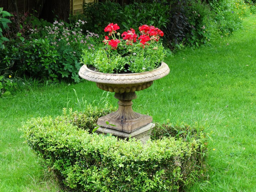 Three Ivy Cross Bed & Breakfast Shaftesbury Exterior foto
